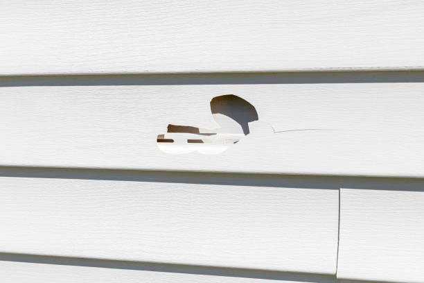 Best Engineered Wood Siding  in Tulare, CA